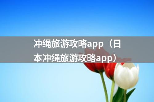 冲绳旅游攻略app（日本冲绳旅游攻略app）