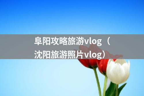 阜阳攻略旅游vlog（沈阳旅游照片vlog）